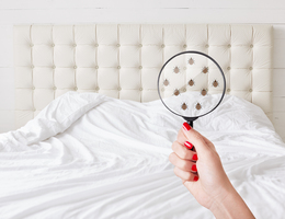 A hand holds a magnifying glass in front of a bed.